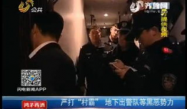 大哥视频,视频中的热血豪情与人生智慧