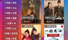 在线视频久久,揭秘在线视频平台的魅力与挑战